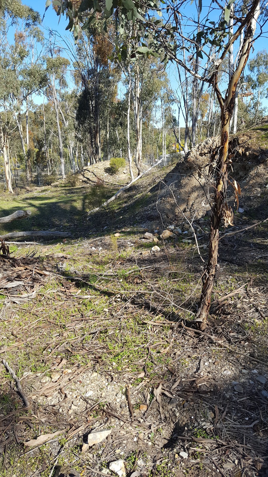 Poverty Reef | Tarnagulla VIC 3551, Australia