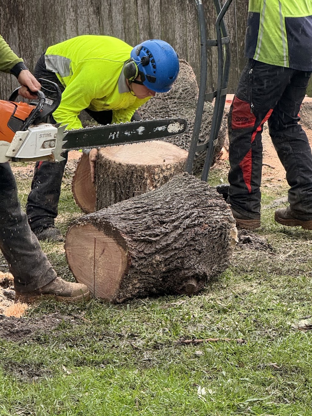 Fine Cut Tree Service | 199 Cawdor Rd, Cawdor NSW 2570, Australia | Phone: 0417 791 567