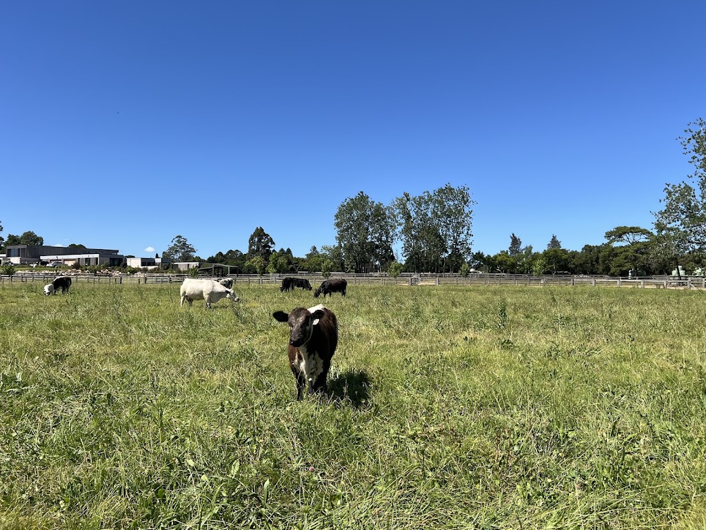 Gotcha Speckle Park | 43 Dumaresq Island Rd, Dumaresq Island NSW 2430, Australia | Phone: 0488 988 244