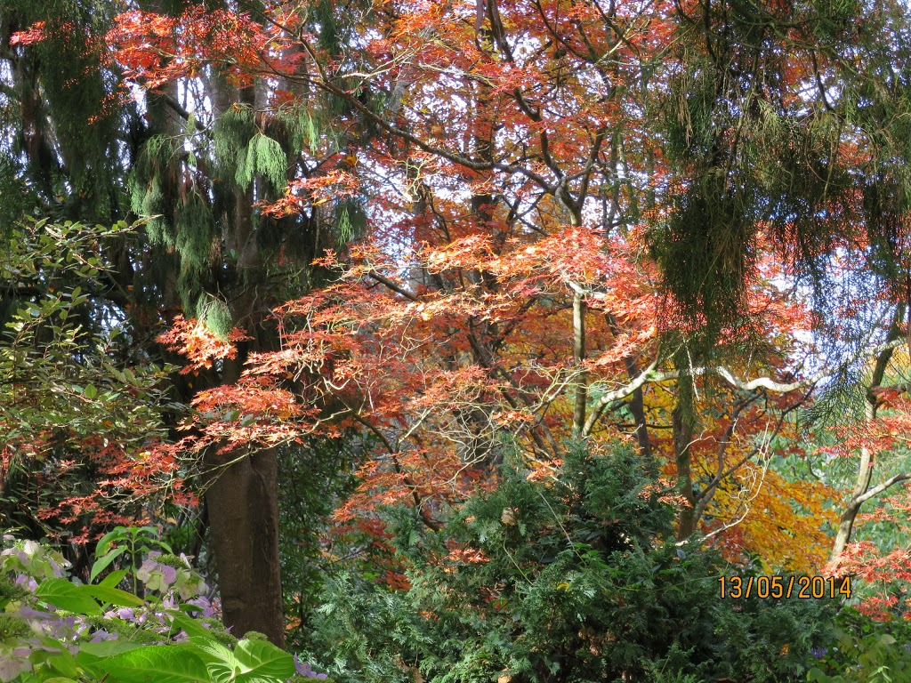 George Tindale Memorial Gardens | 33 Sherbrooke Rd, Sherbrooke VIC 3789, Australia | Phone: 13 19 63