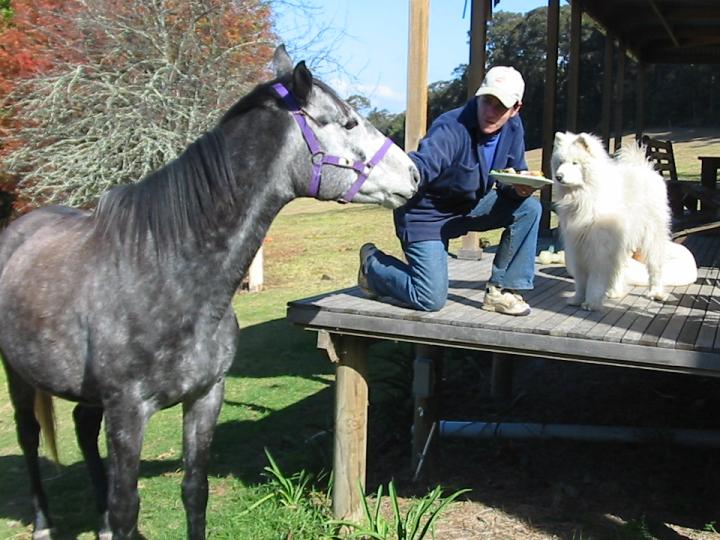 Kangaroo Valley Horse Riding | 24 Hillcrest View Ln, Kangaroo Valley NSW 2577, Australia | Phone: (02) 4465 1912