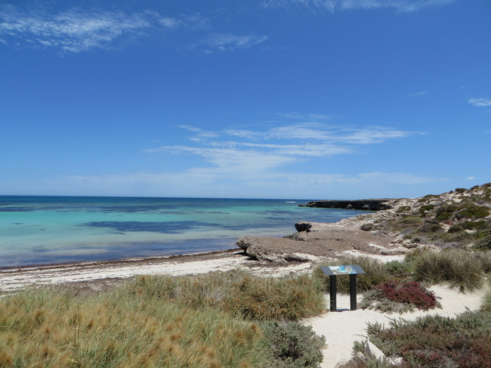 Abrolhos Island | Houtman Abrolhos WA 6530, Australia | Phone: (08) 9956 6674