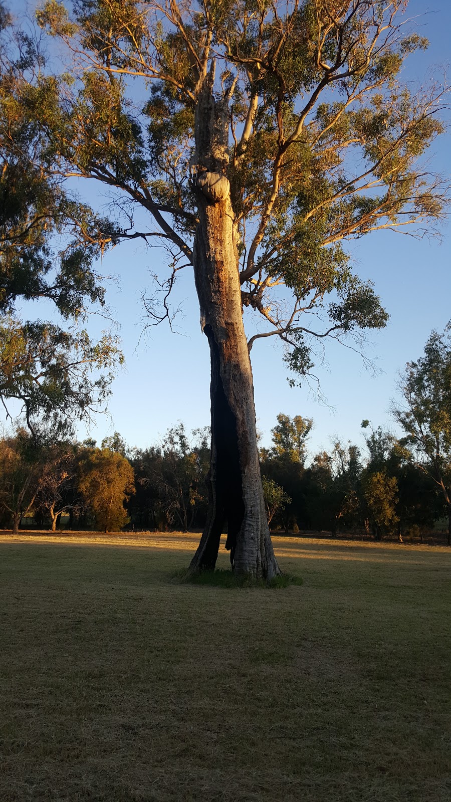 Kings Meadow Reserve | park | Guildford WA 6055, Australia