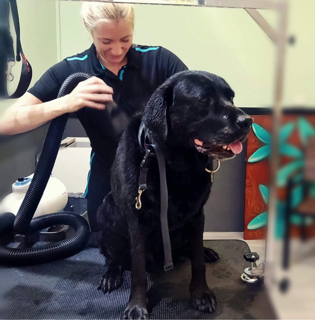 Scrub Woofers Dog Grooming | 4 Penelope Dr, Cornubia QLD 4130, Australia | Phone: 0449 796 654