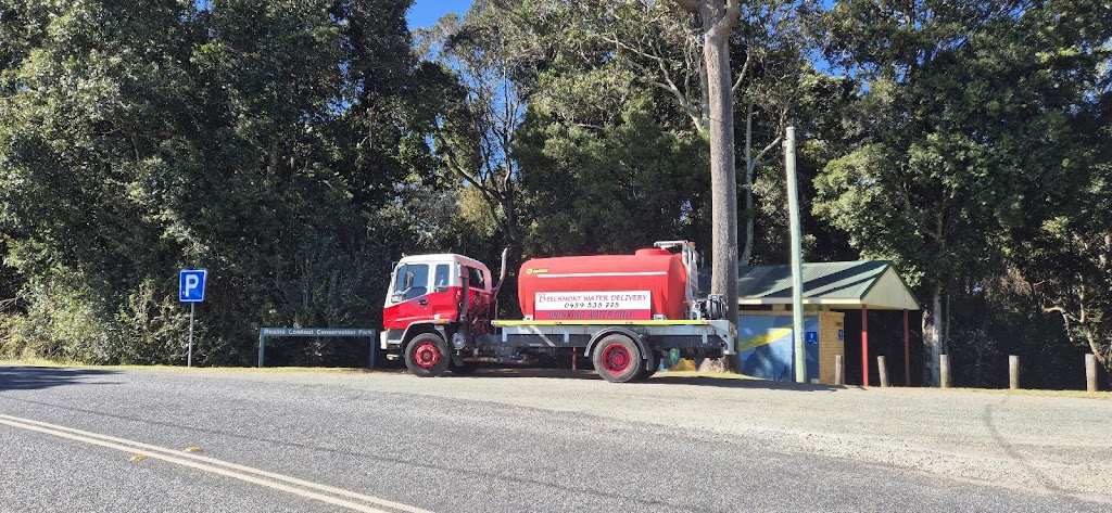 Beechmont Water Delivery | 10 Freemans Rd, Lower Beechmont QLD 4211, Australia | Phone: 0459 535 775