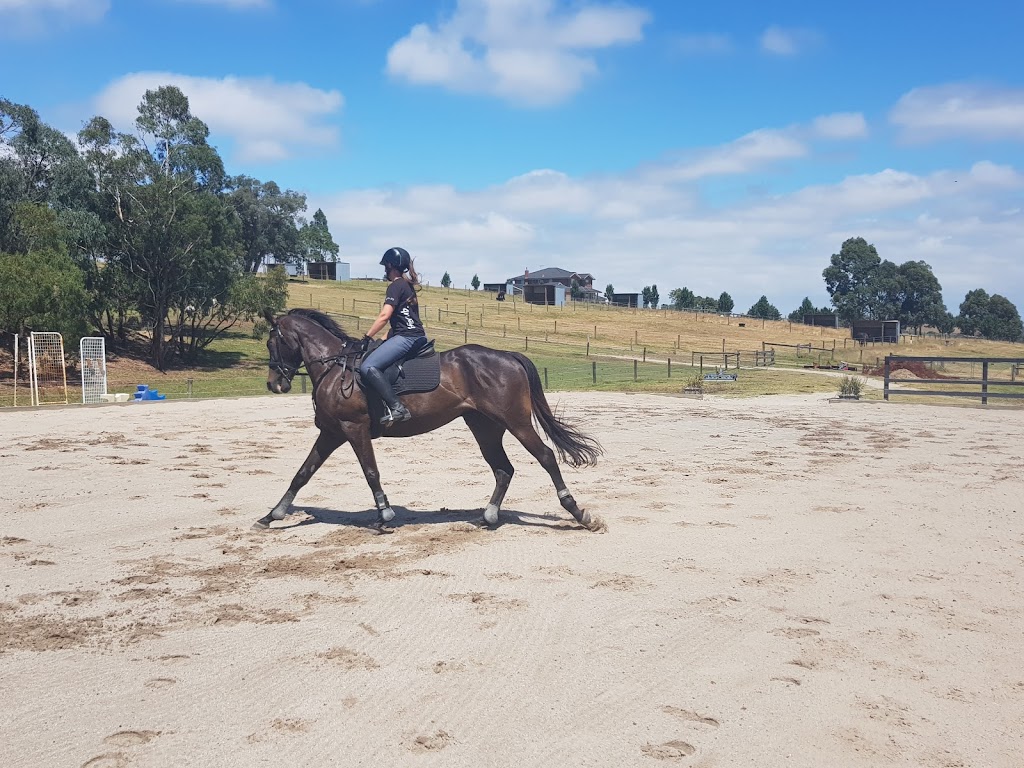 DARWIN PARK EQUESTRIAN | 22 Mountain Flat Rd, Narre Warren East VIC 3804, Australia | Phone: 0419 865 051