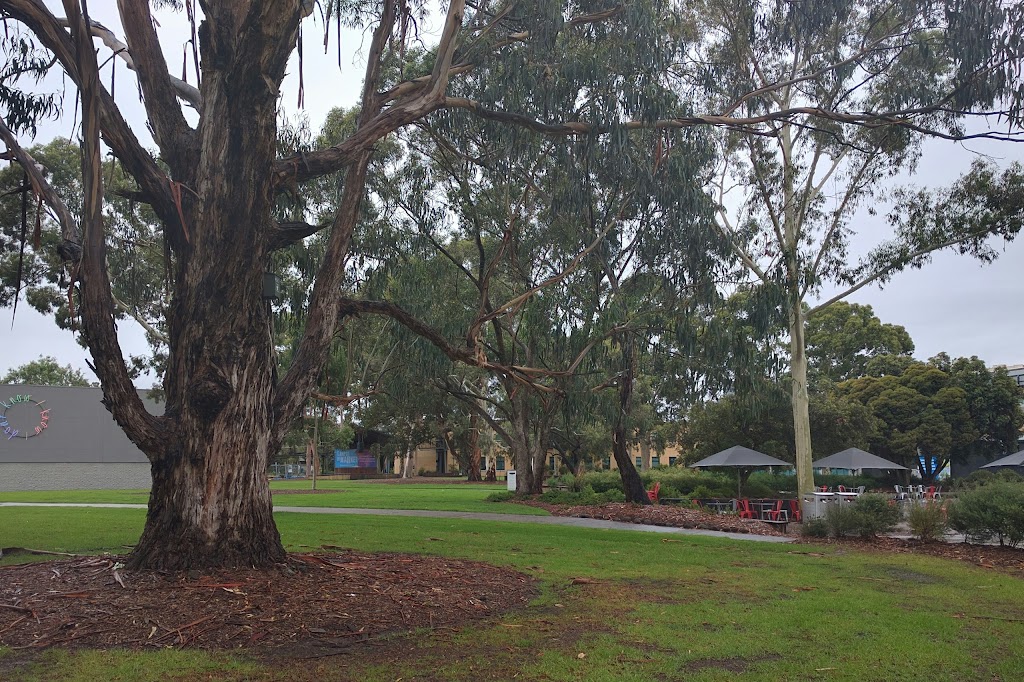 Lemon Scented Lawns | park | Monash University VIC 3800, Australia | 0399026000 OR +61 3 9902 6000