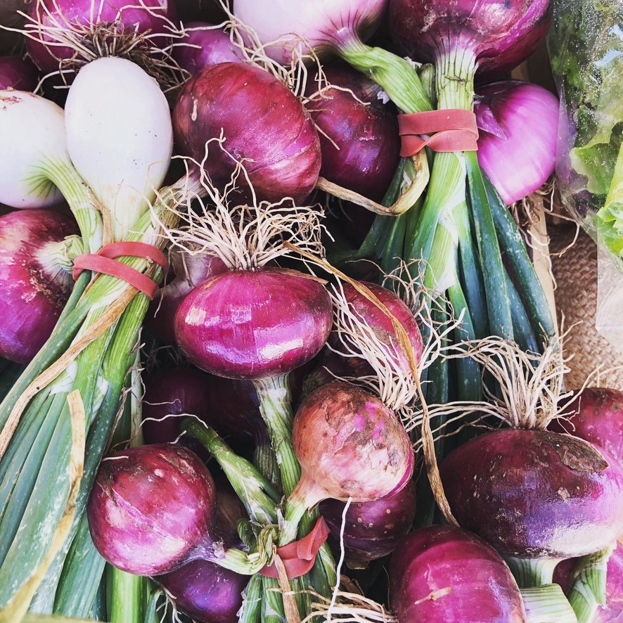 Castlemaine Farmers Market Weekly | Camp Reserve, Forest St, Castlemaine VIC 3450, Australia | Phone: 0490 366 243