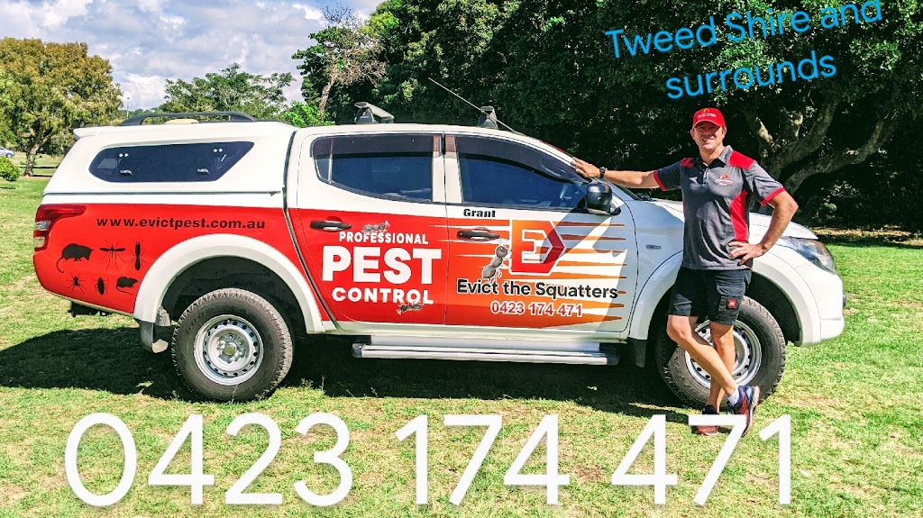 Evict the Squatters - Professional Pest Control | home goods store | 5 Glenbrae Dr, Terranora NSW 2486, Australia | 0423174471 OR +61 423 174 471