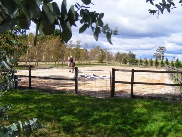 Arundel Equestrian | 890 Jenolan Caves Rd, Good Forest NSW 2790, Australia | Phone: (02) 6359 3022