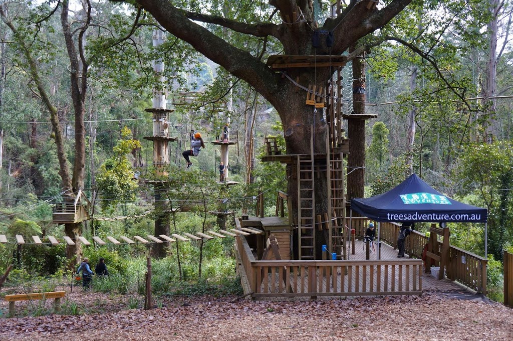 Trees Adventure - Glen Harrow Park | Old Monbulk Rd, Belgrave VIC 3160, Australia | Phone: (03) 9752 5354