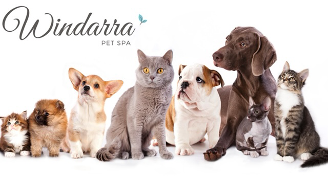 Windarra Pet Spa | 6 Wilga Dr, Bunya QLD 4055, Australia | Phone: 0405 640 225