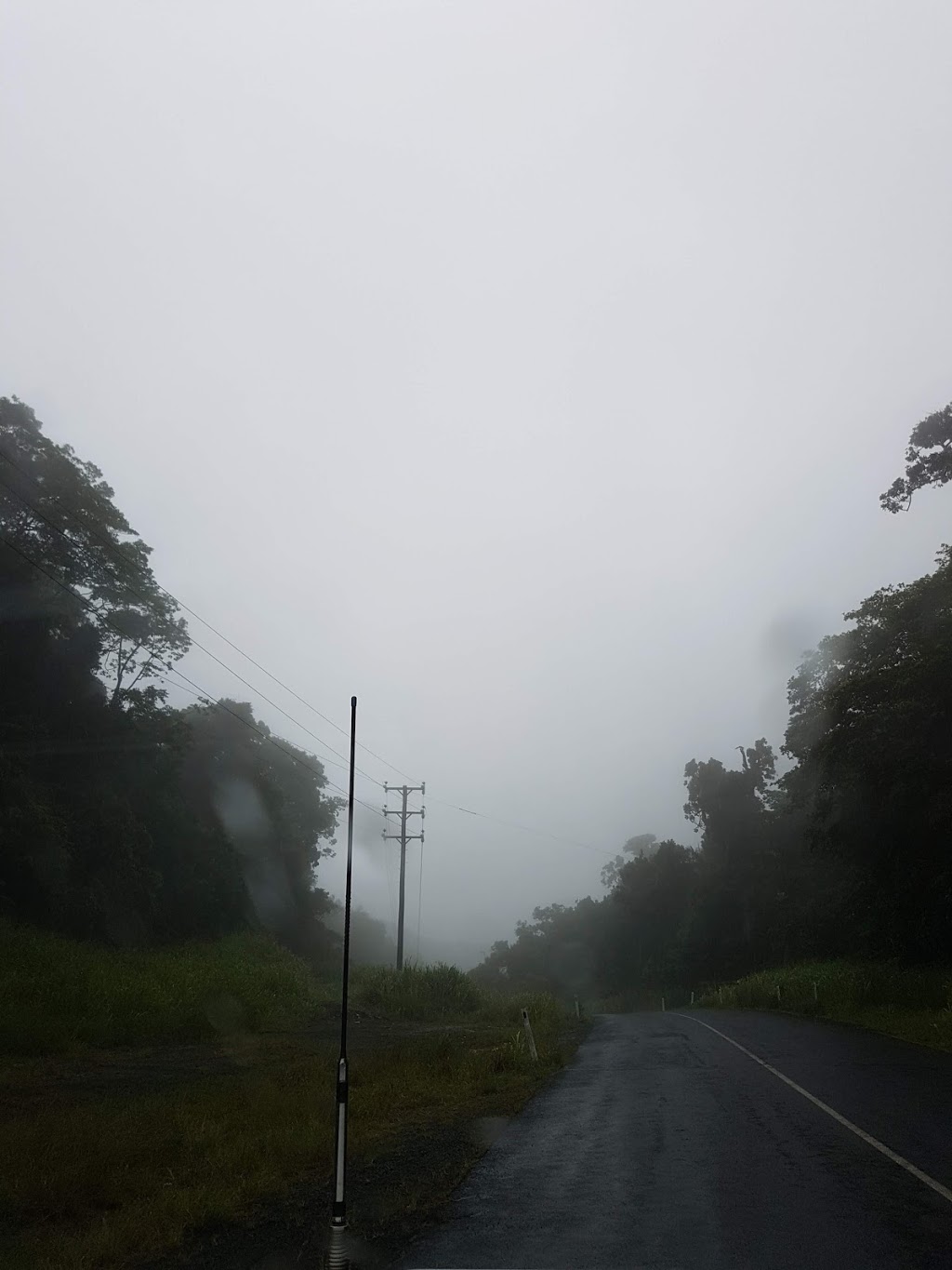 Cedar Bay National Park | park | Cedar Bay Road, Bloomfield QLD 4895, Australia | 137468 OR +61 137468