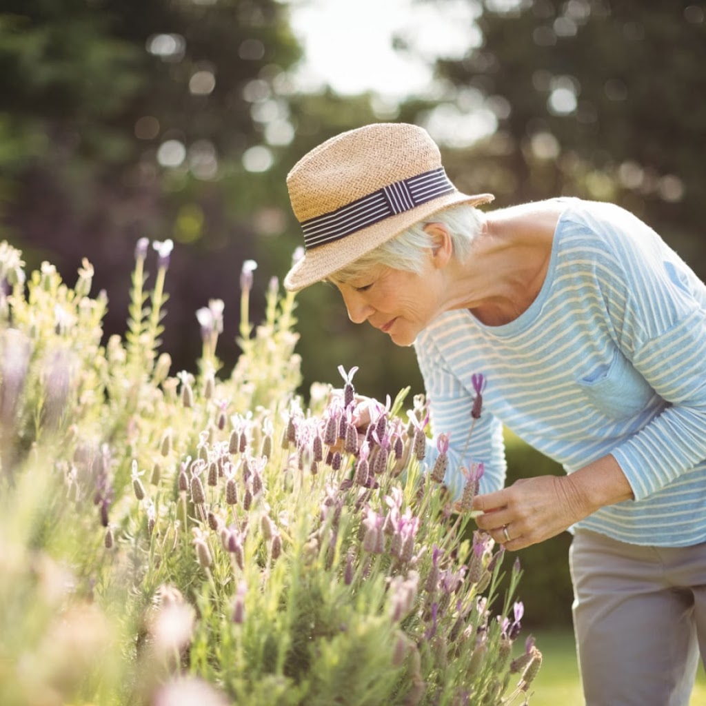 Stratford Gardens | Stratford House, 20 Rockford Rd, Tahmoor NSW 2573, Australia | Phone: 0477 083 688