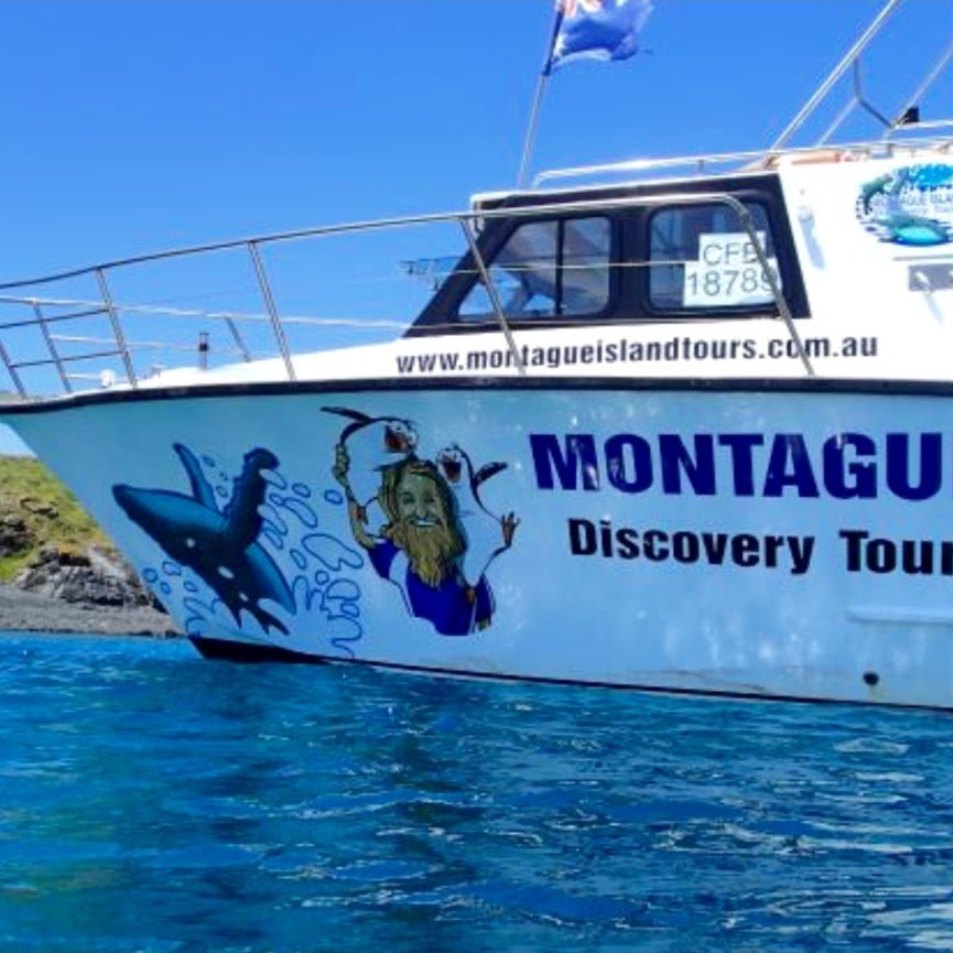Lighthouse Charters Narooma & Montague Island Discovery Tours wi | travel agency | Bluewater Drive, Narooma NSW 2546, Australia | 0412312478 OR +61 412 312 478