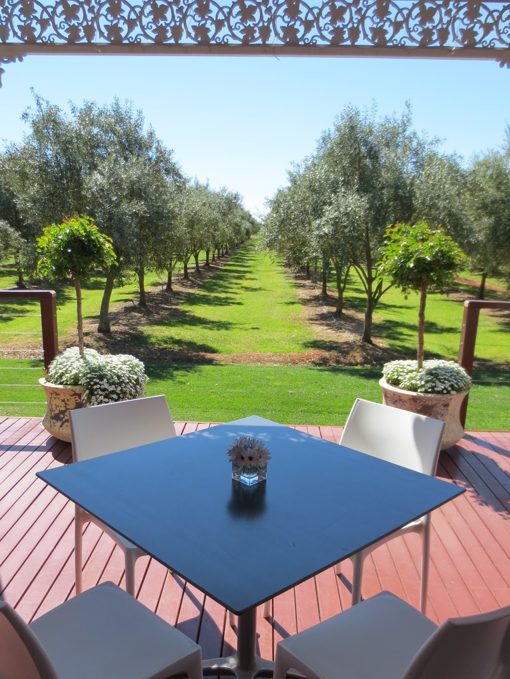 Greendale Grove - Olive & Produce Shop | 7230 Goulburn Valley Hwy, Kialla West VIC 3631, Australia | Phone: (03) 5823 2785