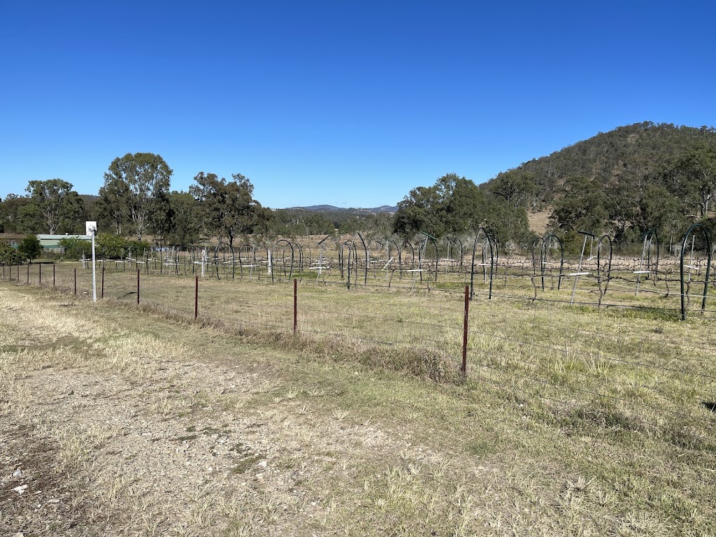 Misty Hills Estate | 387 Gregors Creek Rd, Gregors Creek QLD 4313, Australia | Phone: 0400 542 556