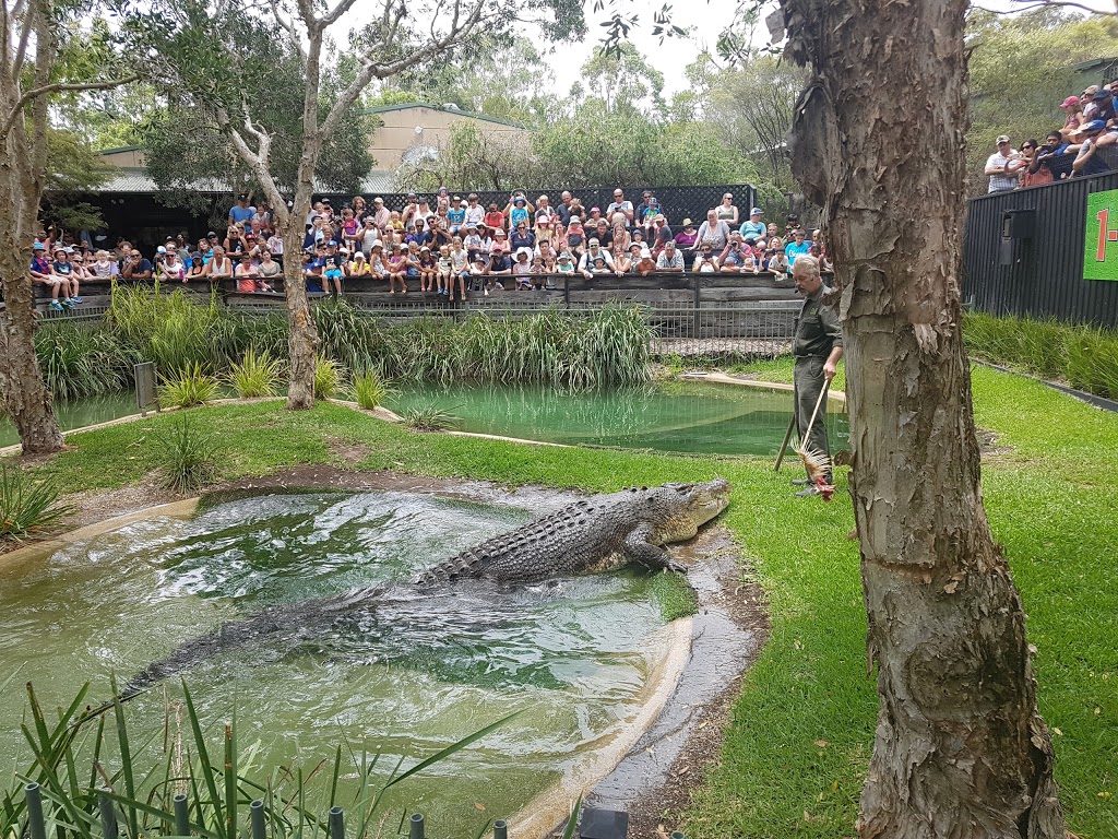 Australian Reptile Park | zoo | 69 Pacific Hwy, Somersby NSW 2250, Australia | 0243401022 OR +61 2 4340 1022