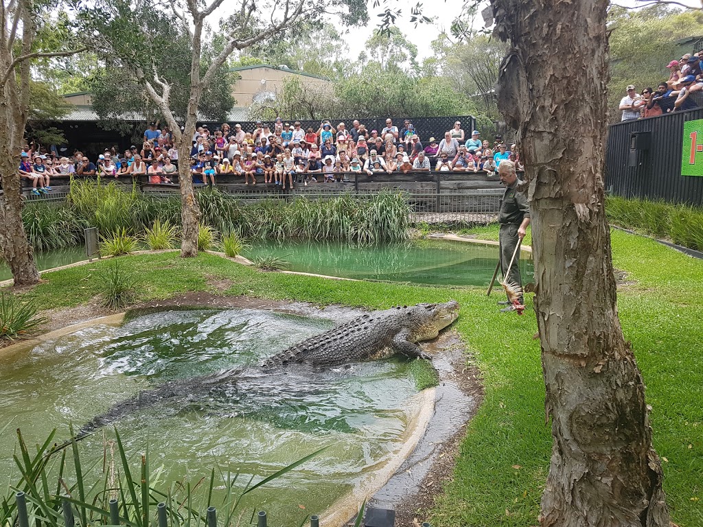 Australian Reptile Park | 69 Pacific Hwy, Somersby NSW 2250, Australia | Phone: (02) 4340 1022