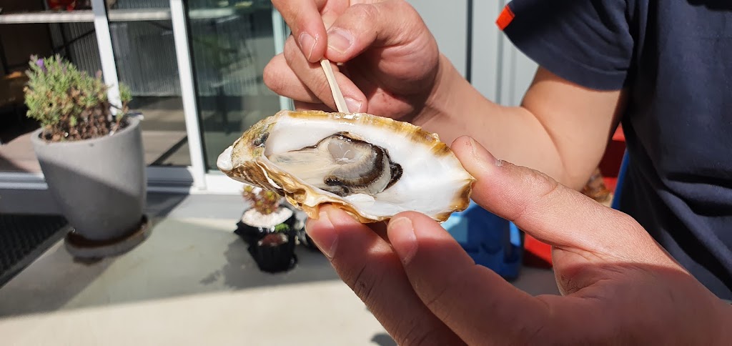 Blue Lagoon Oysters | 98 Bay Rd, Boomer Bay TAS 7177, Australia | Phone: 0438 535 756