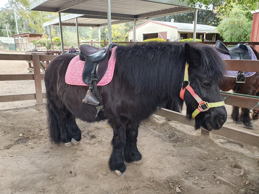 Mini Mates Miniature Horse and Pony Farm |  | 1222 Mount Cotton Rd, Burbank QLD 4156, Australia | 0733491910 OR +61 7 3349 1910