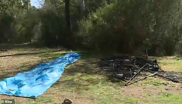 Carol Clay & Russell Hill Campsite | Dry River Track, Howitt Plains VIC 3858, Australia