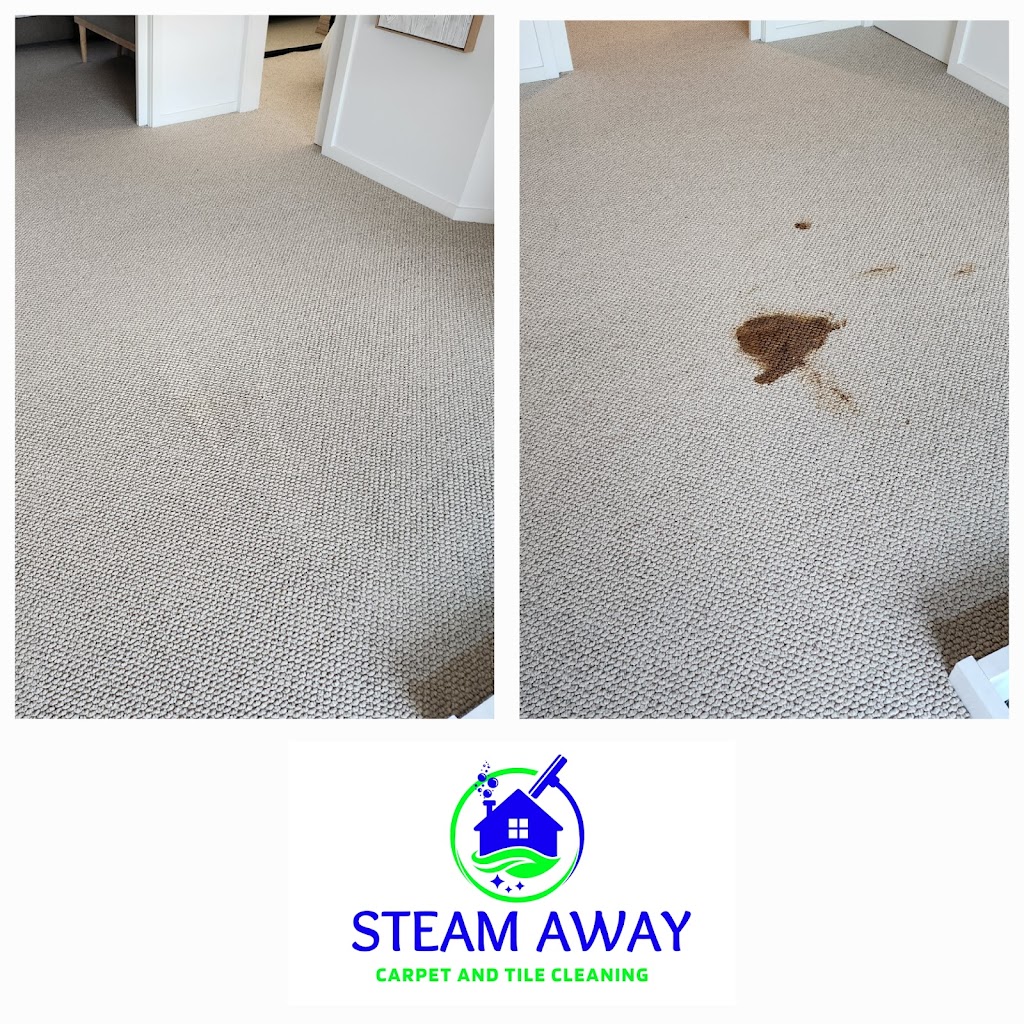 Steam Away Carpet And Tile Cleaning | 10 Domain Ave, Curlewis VIC 3222, Australia | Phone: 0422 806 422