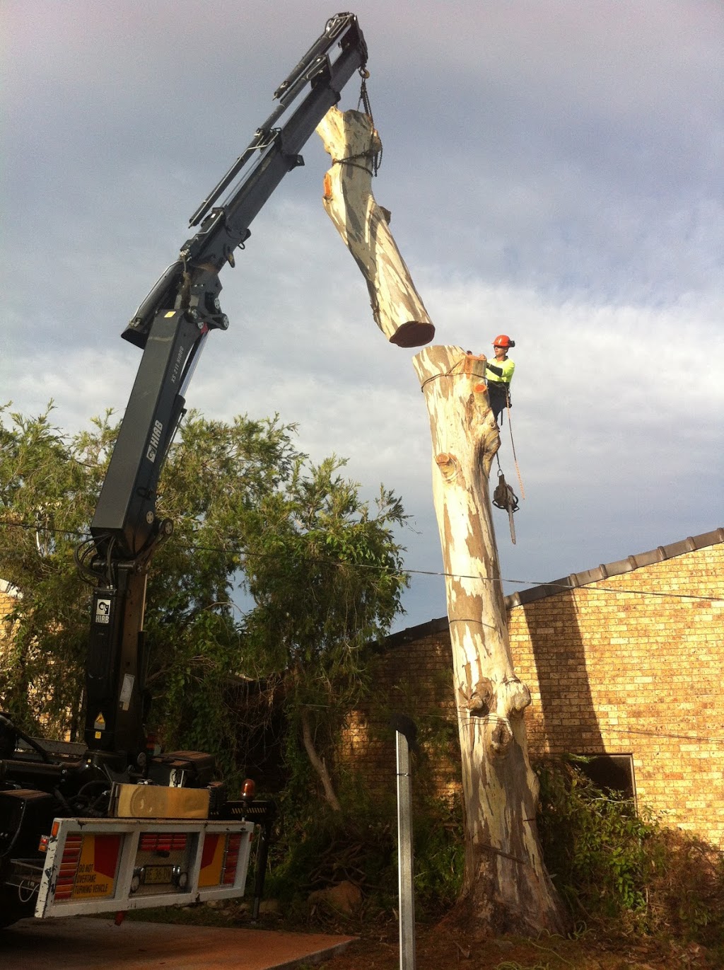 Lilyvale Tree service | 1433 Princes Hwy, Heathcote NSW 2233, Australia | Phone: 0402 657 353