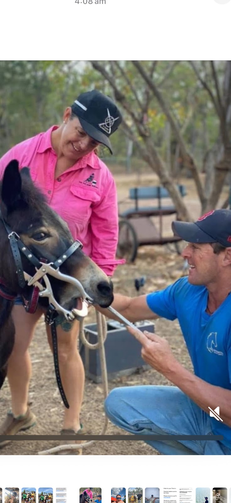 Kenny Grimmond Equine Dentistry | 834 Coramba Rd, Karangi NSW 2450, Australia | Phone: 0428 512 529