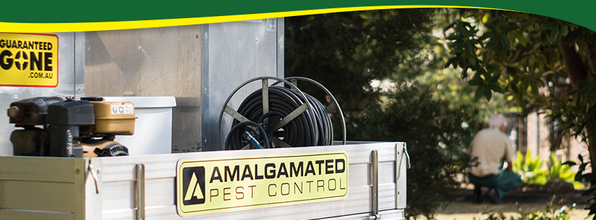 Amalgamated Pest Control Maryborough | 394 Albert St, Maryborough QLD 4650, Australia | Phone: (07) 4199 6241
