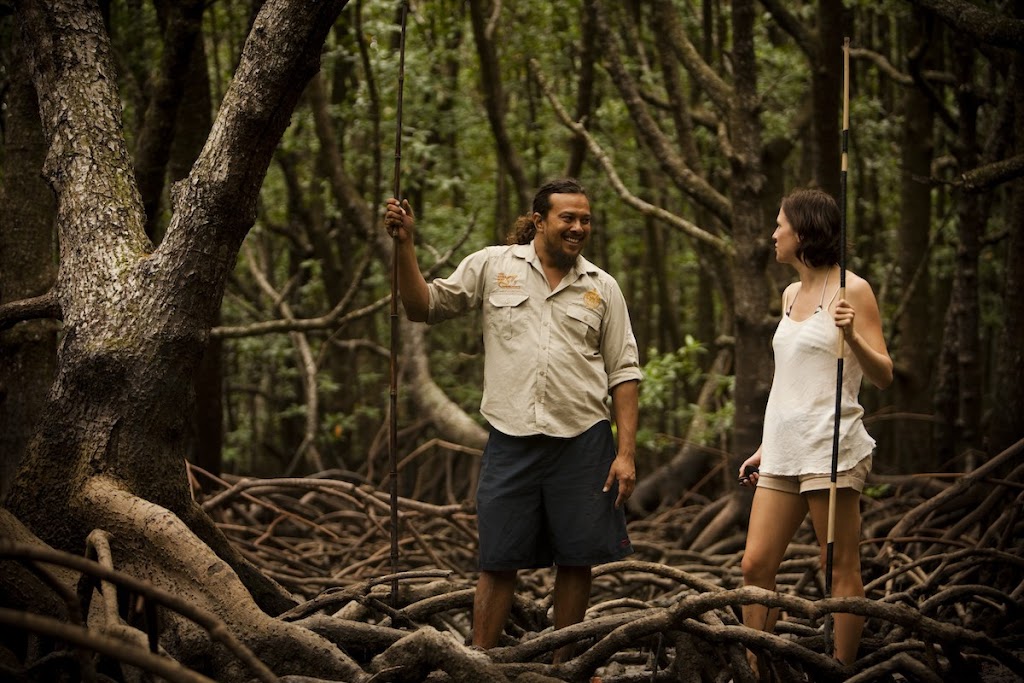 Kuku Yalanji Cultural Habitat Tours | 1 Palm St, Cooya Beach QLD 4873, Australia | Phone: 0403 403 528