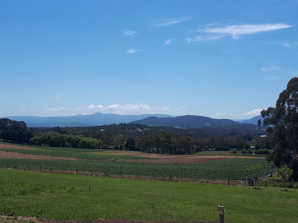 Australian Cherry Distillers |  | 75 Wellington Rd, Wandin North VIC 3139, Australia | 0359644669 OR +61 3 5964 4669