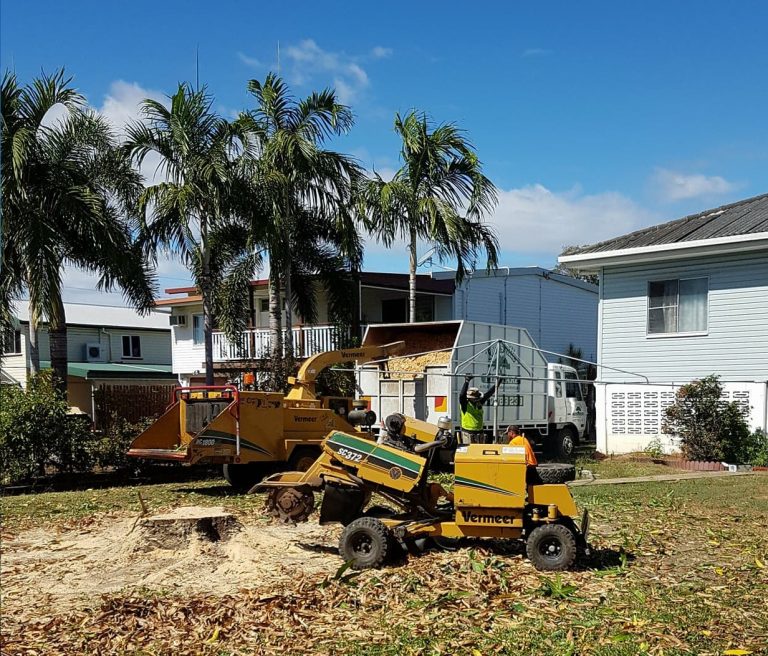 Townsville Tree Care | 9A Power Ct, Jensen QLD 4814, Australia | Phone: (07) 4725 9053