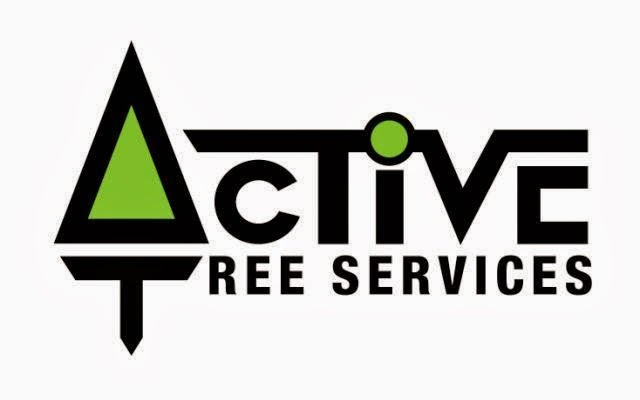 Active Tree Services Pty Ltd | 7/53 Jersey Rd, Bayswater VIC 3153, Australia | Phone: (03) 8873 3100