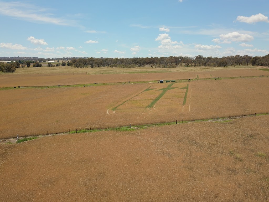 CSIRO - Ginninderra Site | 1147 Barton Hwy, Ginninderra ACT 2617, Australia | Phone: 1300 363 400