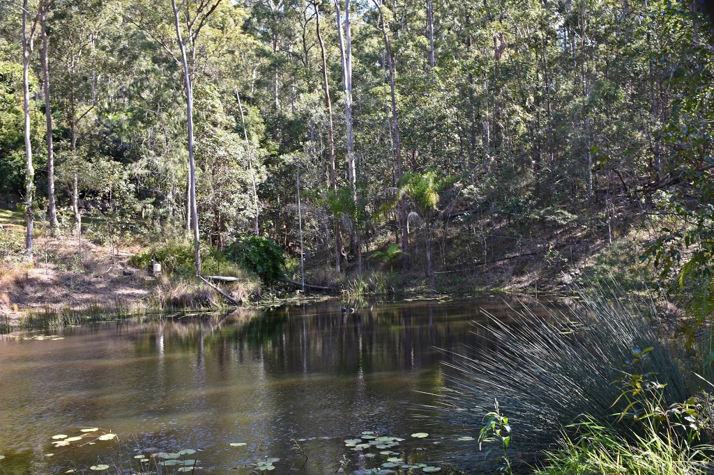 South DAguilar National Park | 57 Mount Nebo Road, The Gap QLD 4061, Australia | Phone: (07) 3512 2300