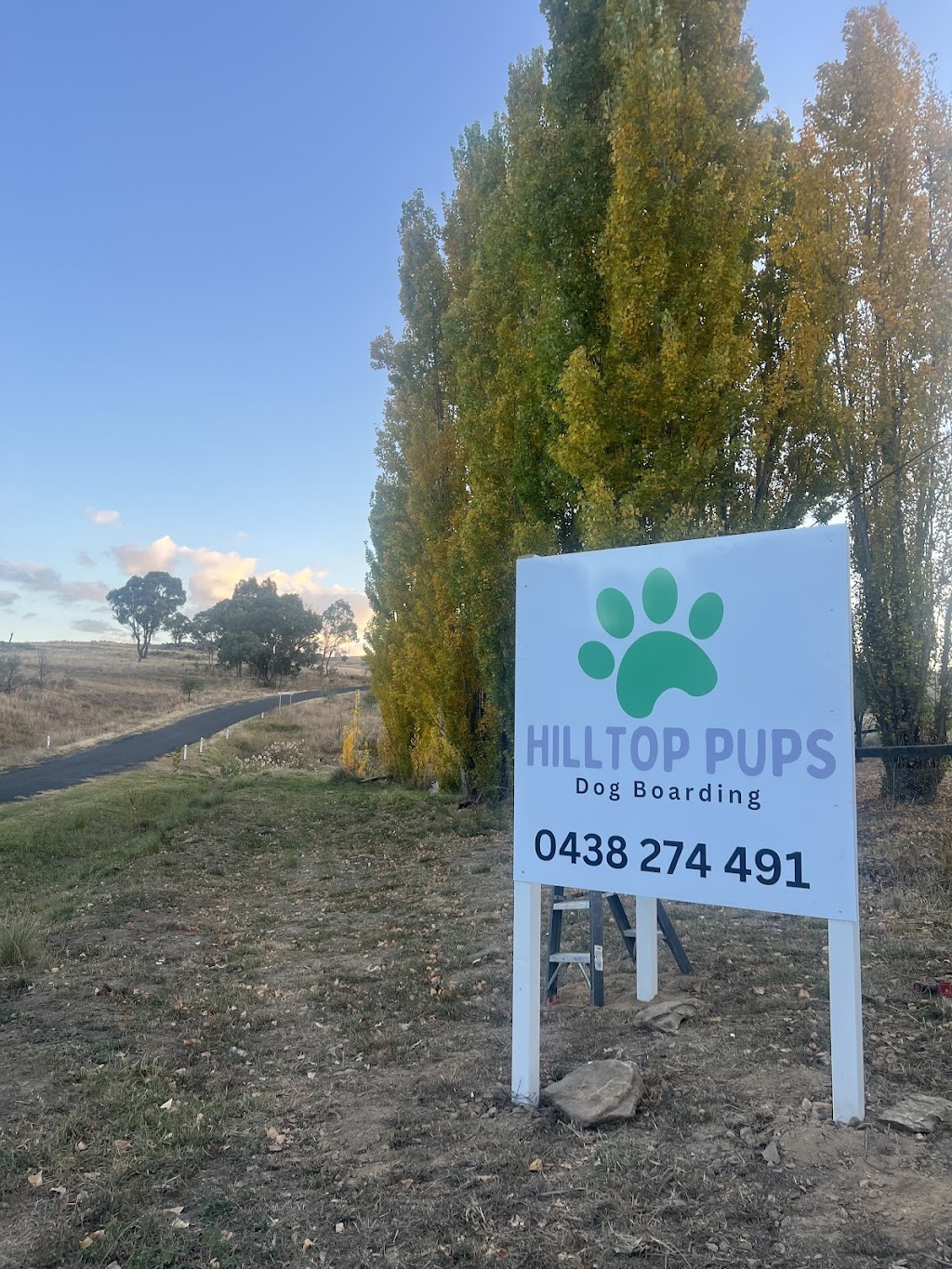 Hilltop Pups Dog Boarding | 2483 Freemantle Rd, Killongbutta NSW 2795, Australia | Phone: 0438 274 491