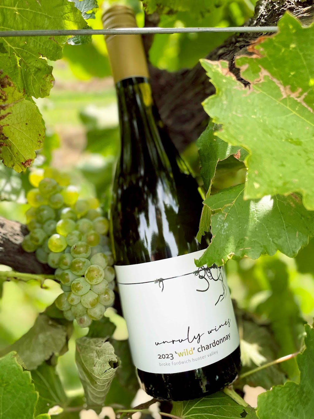 Unruly Wines | 703 Milbrodale Rd, Fordwich NSW 2330, Australia | Phone: 0404 820 827