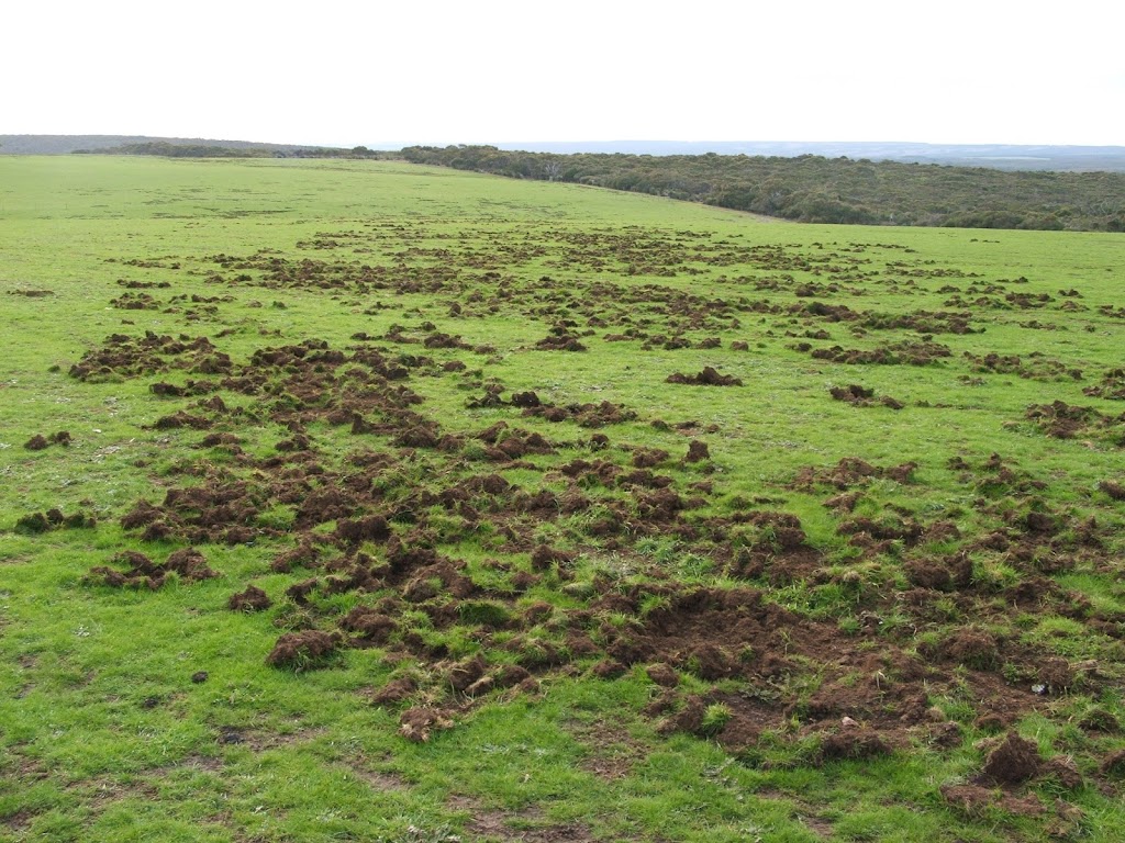Davrac Rural Pest Services | Curries Rd, Dubbo NSW 2830, Australia | Phone: 0414 603 151