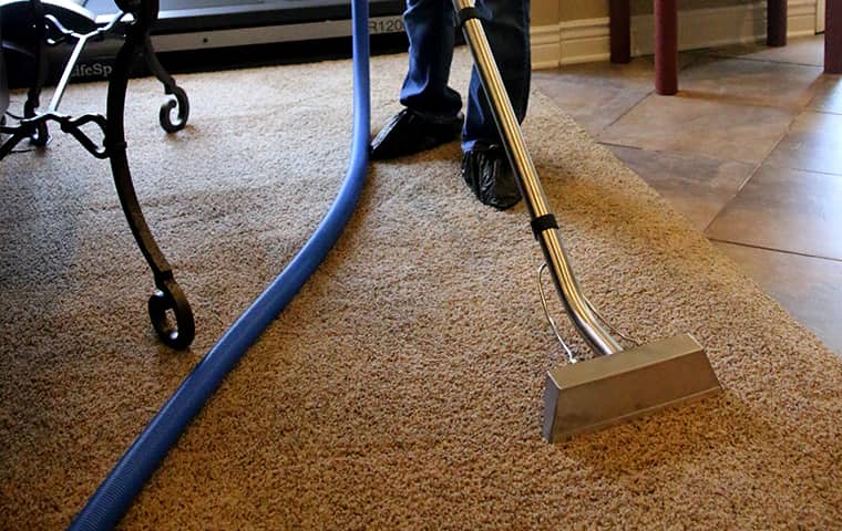 Professional carpet steam cleaning | laundry | 161 Rooty Hill Rd N, Rooty Hill NSW 2766, Australia | 0469972225 OR +61 469 972 225