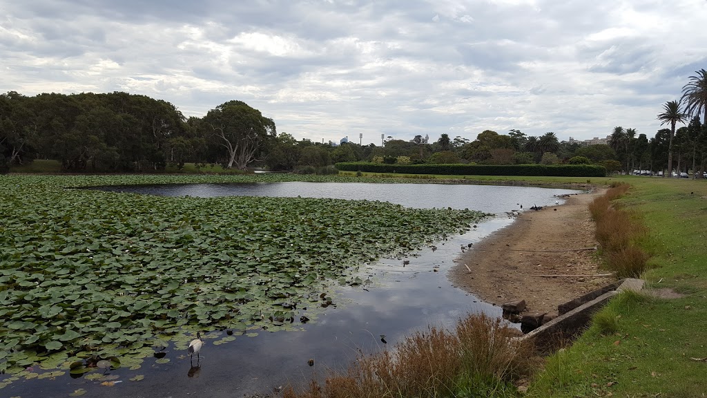 Frog Hollow | park | Centennial Park NSW 2021, Australia