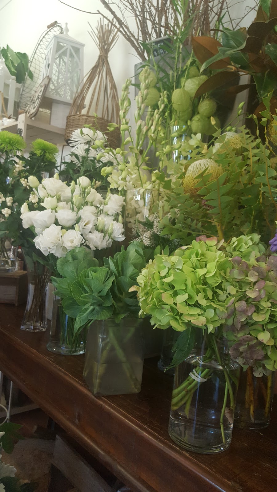 Poppies, Red Hill Flowers | 137 Shoreham Road Red Hill Village Shop 4, Red Hill South VIC 3937, Australia | Phone: (03) 5931 0096