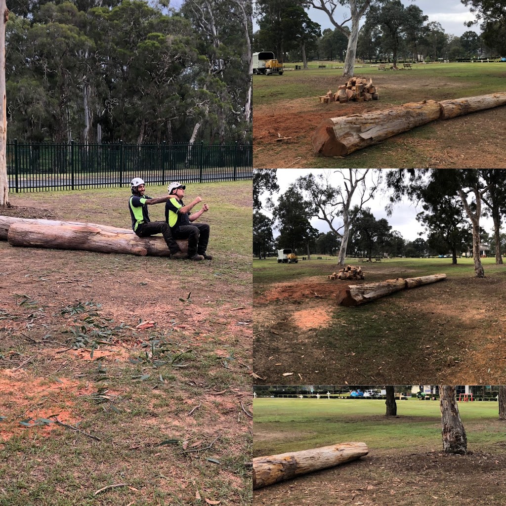 Tree removal sydney | 65 Carinya Rd, Picnic Point NSW 2213, Australia | Phone: 0415 341 717