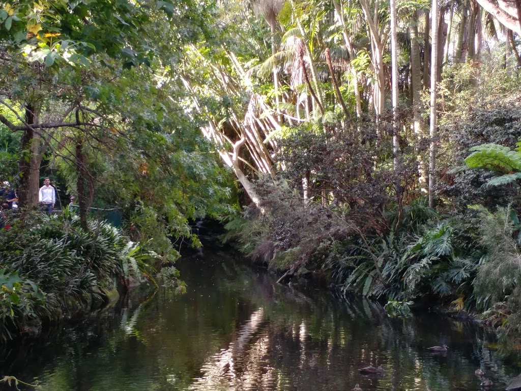 Area B1 - Duck Pond Area | Kareena Rd Lower Car Park, Caringbah South NSW 2229, Australia