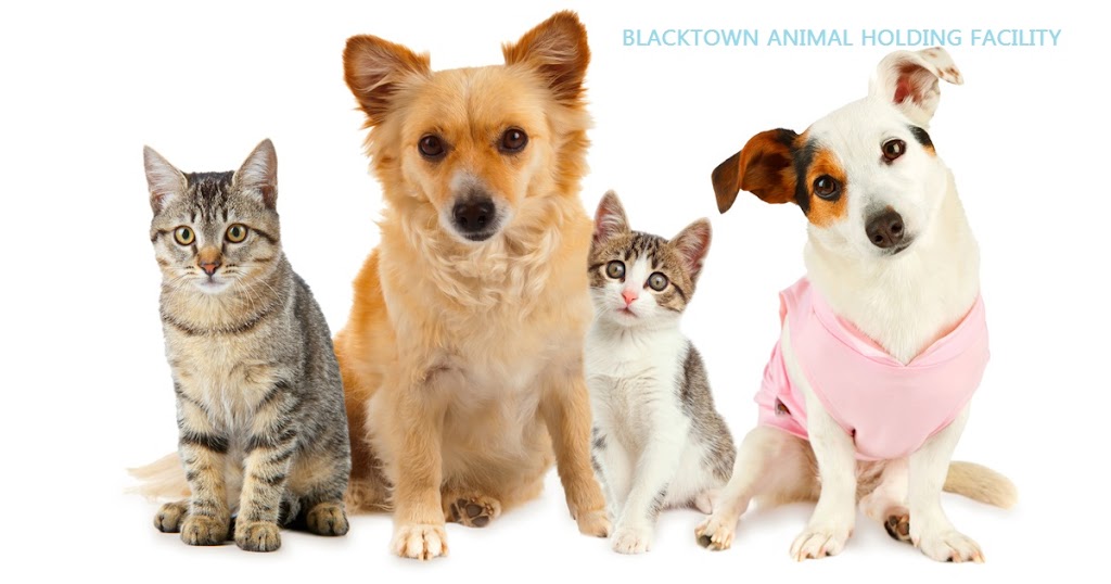 Blacktown Animal Holding Facility | 415 Flushcombe Rd, Blacktown NSW 2148, Australia | Phone: (02) 9839 6161