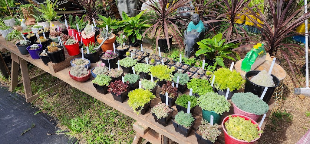 Gypsys Emporium | 1460 Woodburn-Coraki Rd, Coraki NSW 2471, Australia | Phone: 0431 521 939