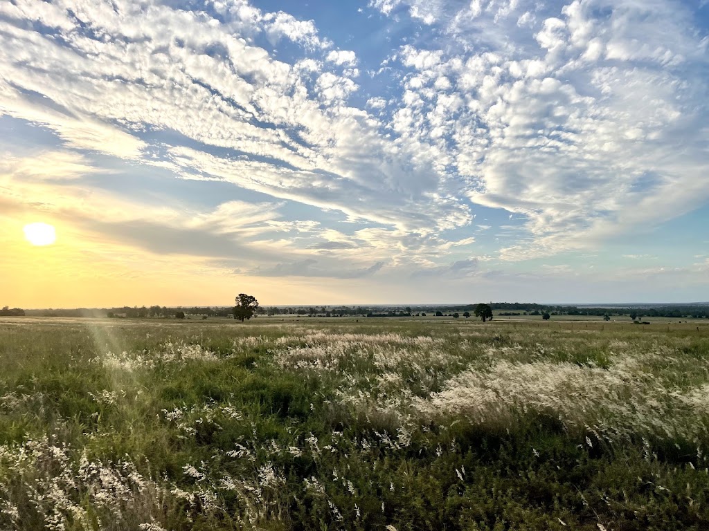 Go Rural | Jimbour East QLD 4404, Australia | Phone: 0438 711 146