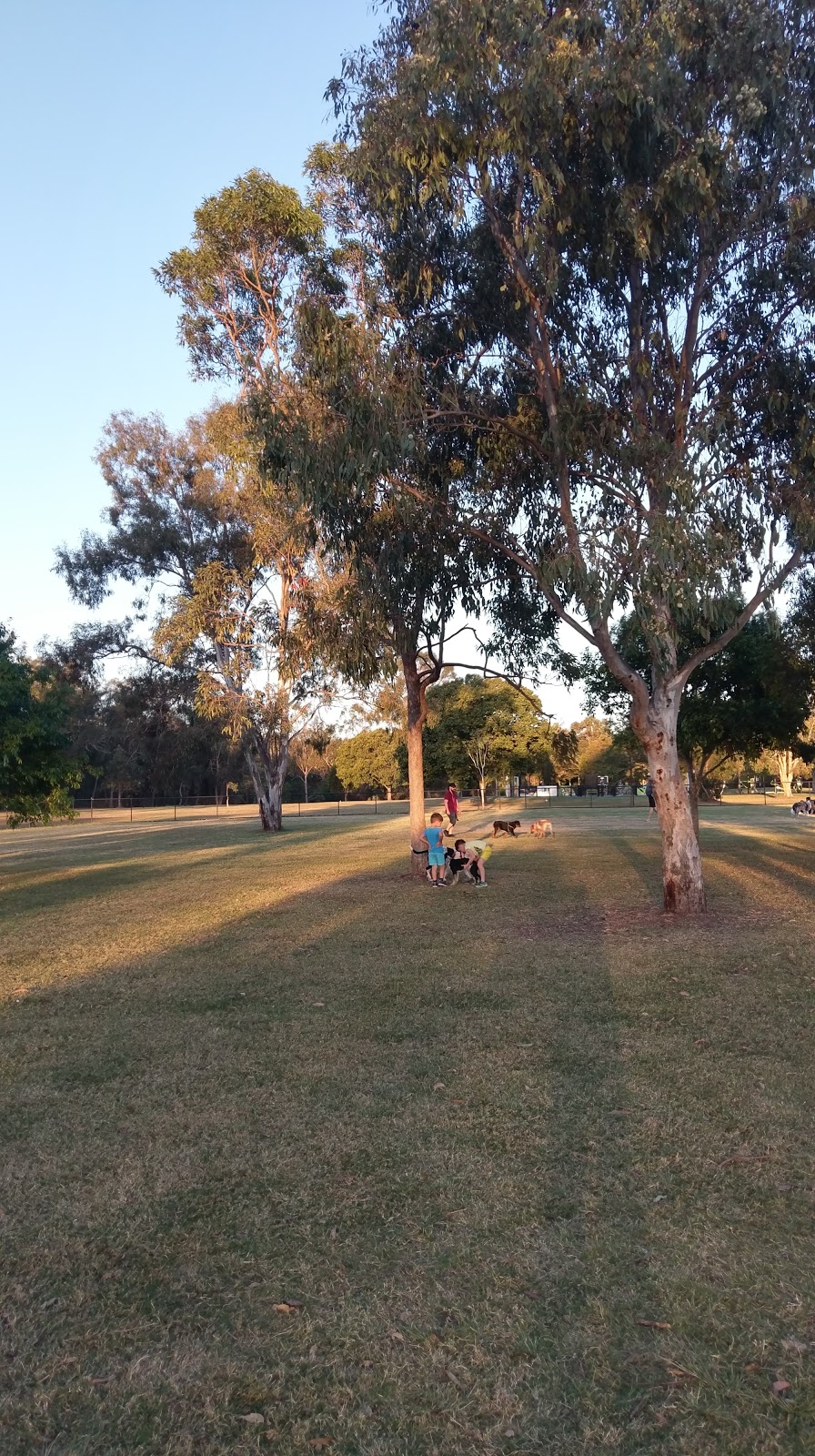 Preston Road Park | park | 163 Meadowlands Rd, Carindale QLD 4152, Australia