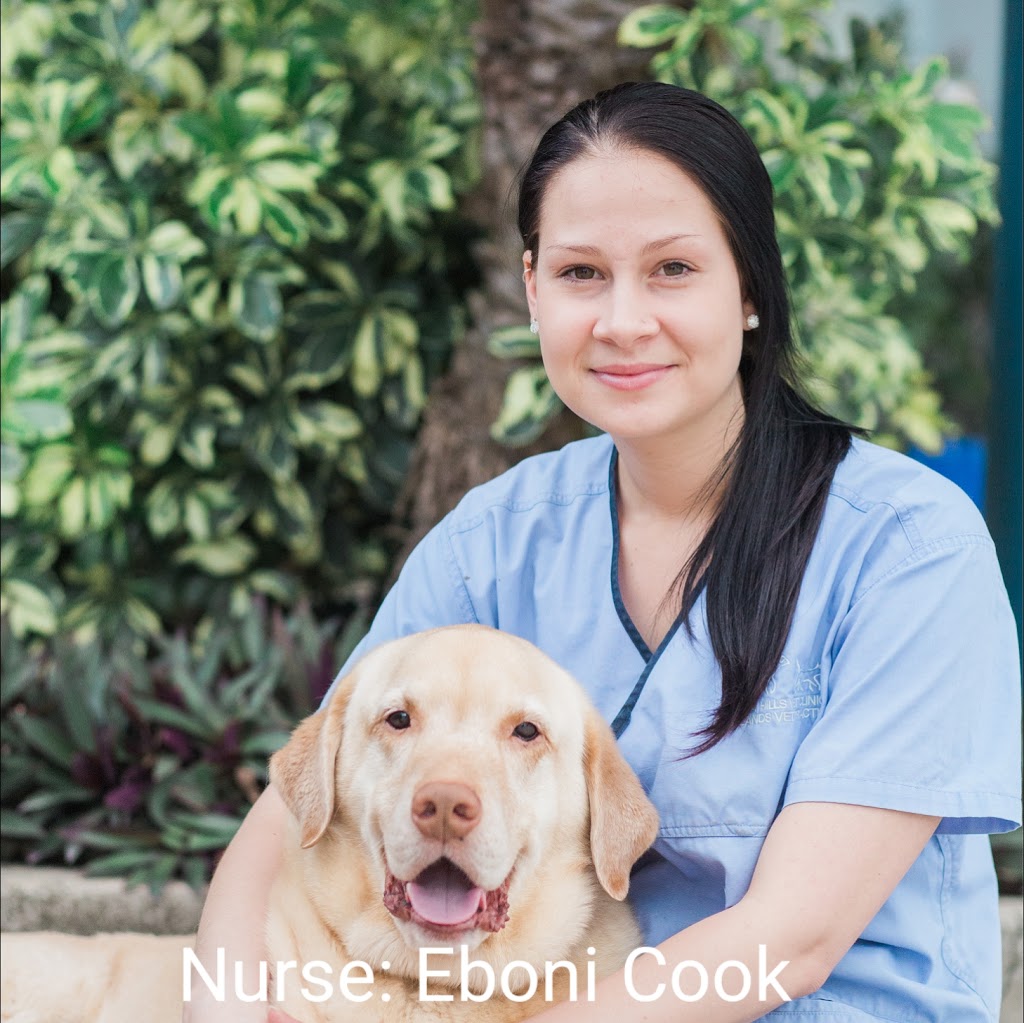 Arana Hills Veterinary Clinic | veterinary care | 18 Nepean Ave, Arana Hills QLD 4054, Australia | 0738511366 OR +61 7 3851 1366