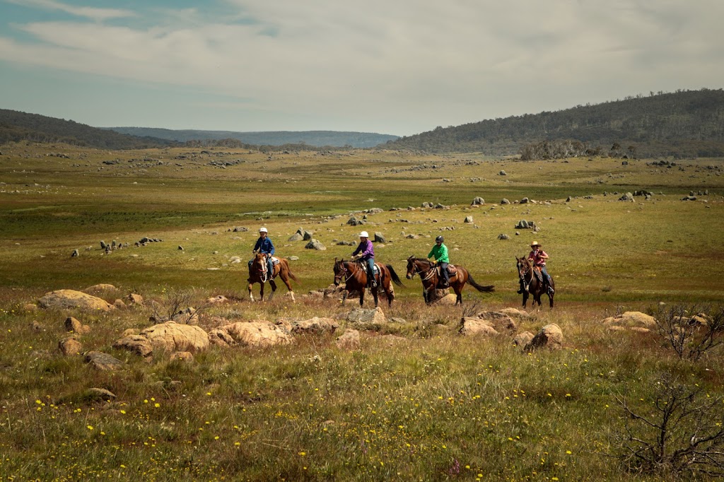 Australian Saddle Safaris | Snowy Mountains Hwy, Adaminaby NSW 2629, Australia | Phone: 0428 130 093